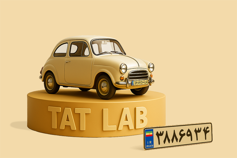 Rear Registration Plate (EU-1003-2010)